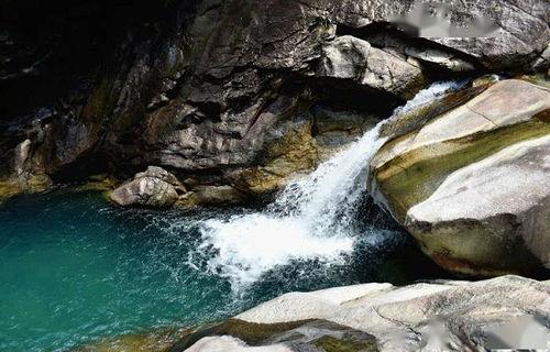 爱心潭最新爆料,最新爆料背后的惊人真相